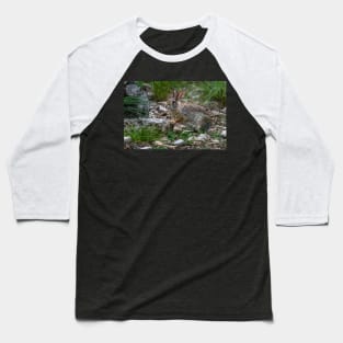 Cottontail Rabbit Hopping Along the Trail Baseball T-Shirt